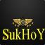 SukhoY