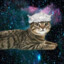 SpaceCat