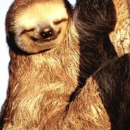 Sire Sloth