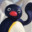 Pingu