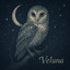 Veluna