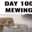 skeleton mewing