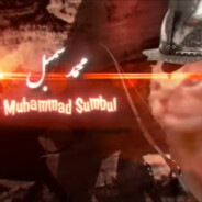 Muhammad Sumbul