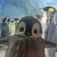 Marcinho3Bolas 's avatar