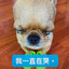 洛杉矶在南何故北飞