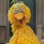 big bird