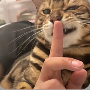 破碎心绪未无解