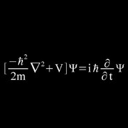 6 ft 2in 84kg age 21 MSc Physics