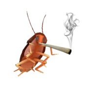 Roach (first name Cock)