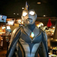 金陵没有梧桐树