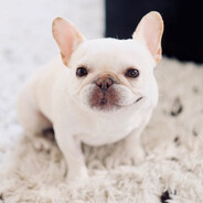 дамский угодник 21