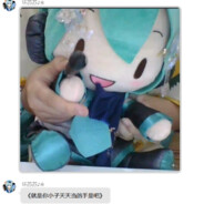 坏苏苏（鸽手）