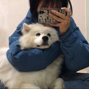 粉嫩大猪