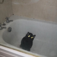 Bathtub Goblin