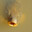 G4bry3_1233case.gift