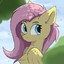 Fluttershy