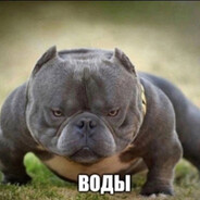 воды