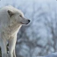 xQCxElVickingJr avatar