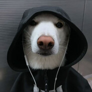 wersti - steam id 76561198894798656