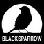 Captain Blacksparrow