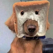 永劫转瓦唐氏大王