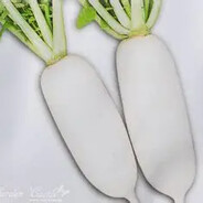 颱風過後，菜頭貴死了