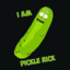 PickleRick012