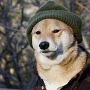 拿起枪来就是兵