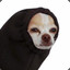 LittleAngryDog