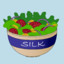 silk_salad