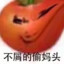 the king of tomato