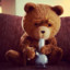 Ted B7