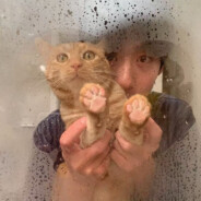 她是救赎也是遗憾