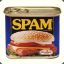 spam spam spam spam