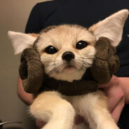 qq
