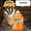 Fanter