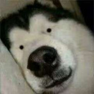 上学忘带餐具，哥哥可以寄把叉进我的小学吗