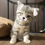 котеноьчек空 - steam id 76561198864083258