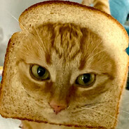 kenyér mascka Musashi