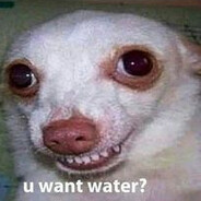 ᛈᚤᚳᛯ