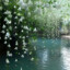 Silent River