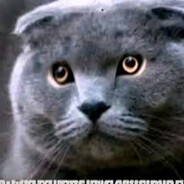 Пурри ФорноВИЧ