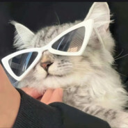 哎呀妈呀好崩溃