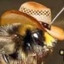 bee_cowboy