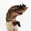 Doctor Worm