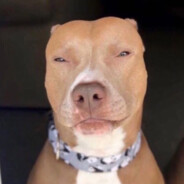 pancho69