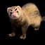 Guachannah