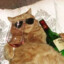 一只毛毛虫