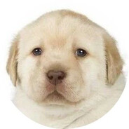 cooluser12