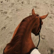 渴血战斧（喜欢女人）